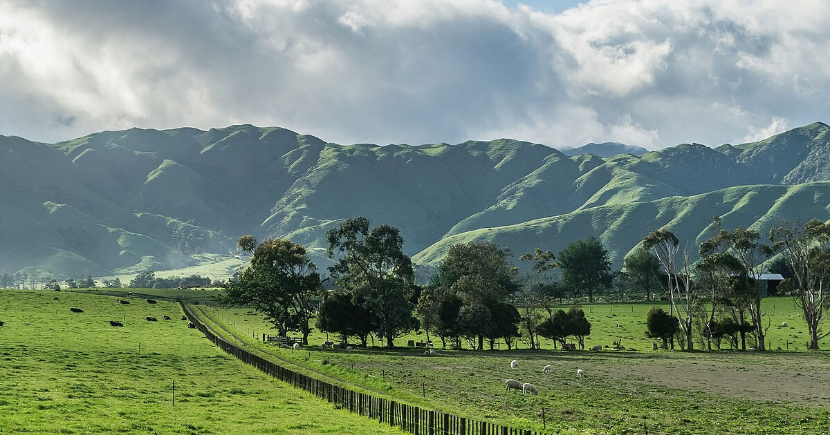 Stay in Manawatu-Wanganui Hotels