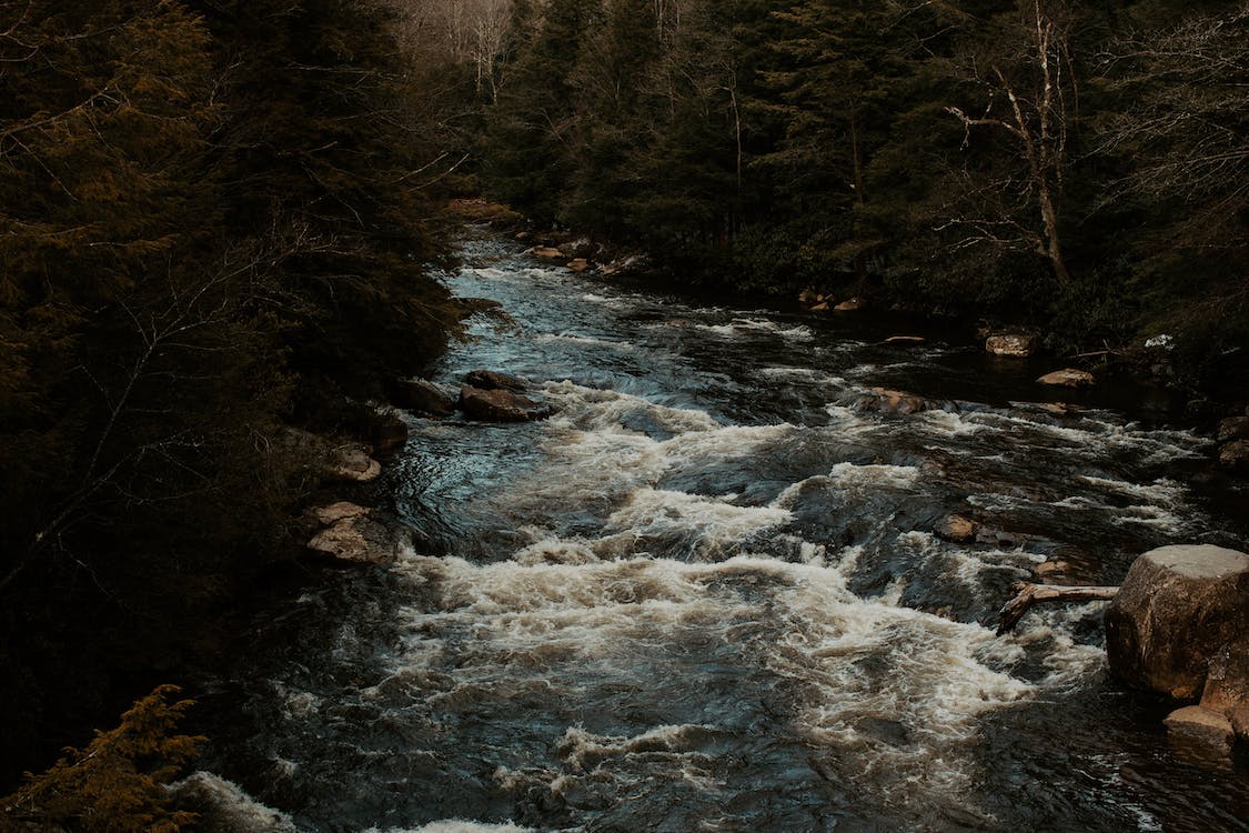 Stay in West Virginia